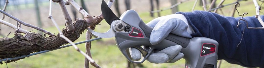 Forbici Ausonia Le migliori migliori forbici da potatura Ausonia a batteria in offerta su AgriEuro