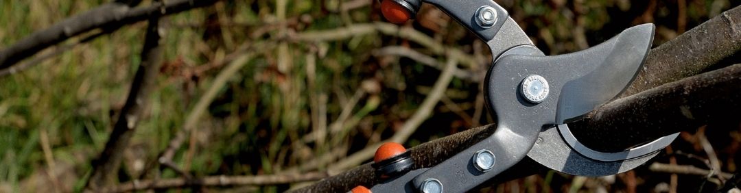 I migliori troncarami Bahco in offerta su AgriEuro