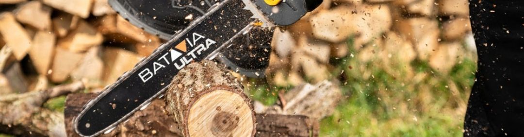 Le migliori motoseghe Batavia in offerta su AgriEuro