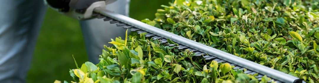 I migliori tagliasiepi Batavia in offerta su AgriEuro