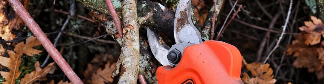 Le migliori forbici da potatura a batteria Black and Decker in offerta su AgriEuro