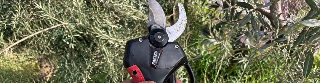 Le migliori Forbici a batteria da potatura Blue Bird in offerta su AgriEuro