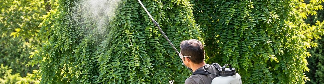 I migliori prodotti Di Martino in offerta su AgriEuro