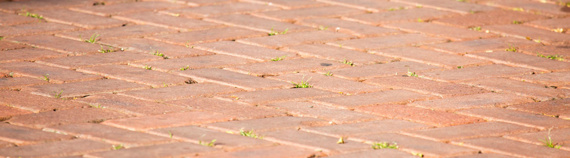 Pulisci fughe per pavimenti in vendita;