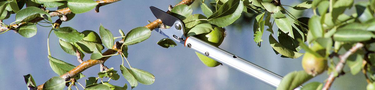 Pruning Shears for Extension Pole