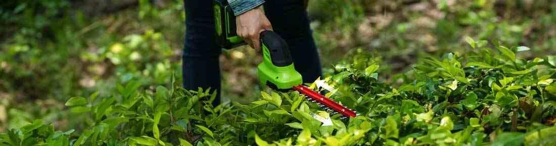 Le migliori forbici tagliaerba con batteria esterna in offerta su Agrieuro