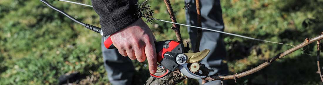 Forbici elettriche a batteria da potatura