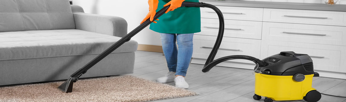 Carpet Cleaners and Wet Vacuum Cleaners for Hobby Use
