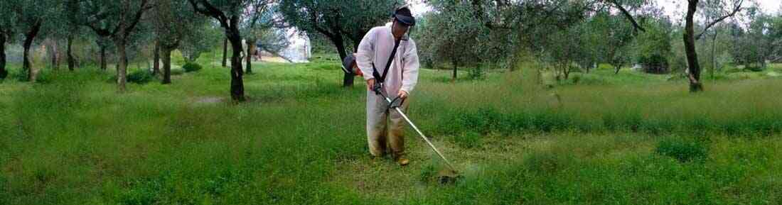 Decespugliatore medio a scoppio