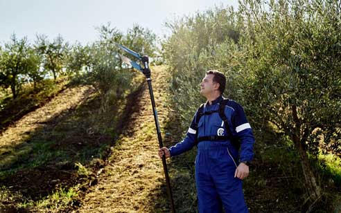 Abbacchiatore Elettrico Campagnola