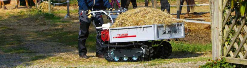 Scopri le migliori offerte sulle motocarriole su AgriEuro!