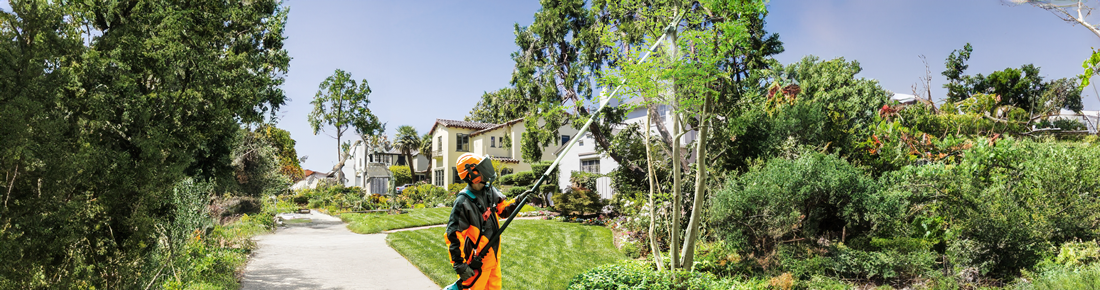 Discover AgriEuro's offers on the best electric pruners, battery or petrol-powered!