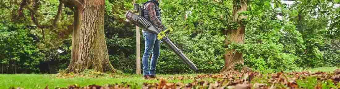I migliori Soffiatori a batteria spalleggiati in offerta su AgriEuro