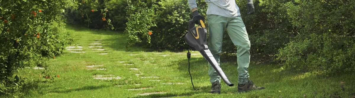 Leaf Blowers and Vacuums