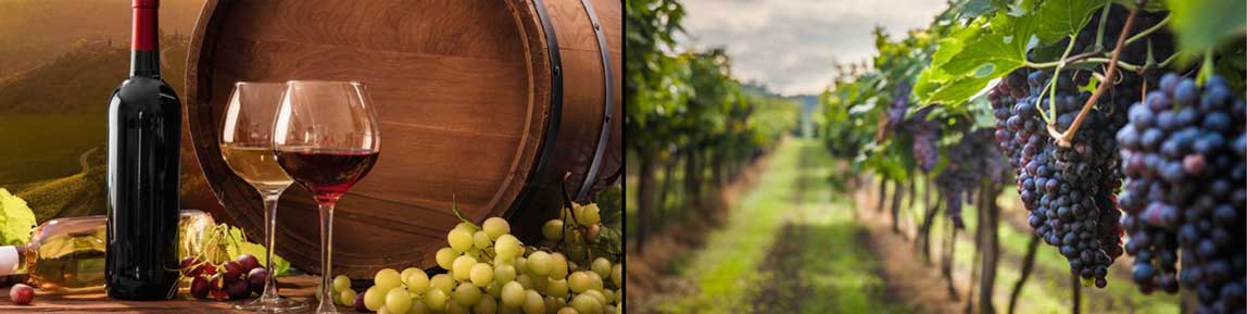 Wine Grape and Fruit Presses