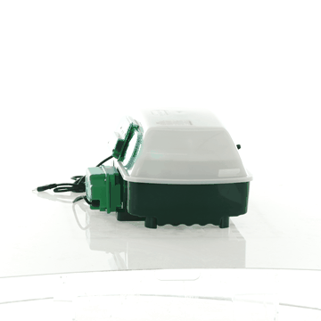 Incubatrice Uova REAL 24 Automatica - Professionale, Girauova Auto, Per 24 Uova Grandi O 96 Piccole - Foto 4