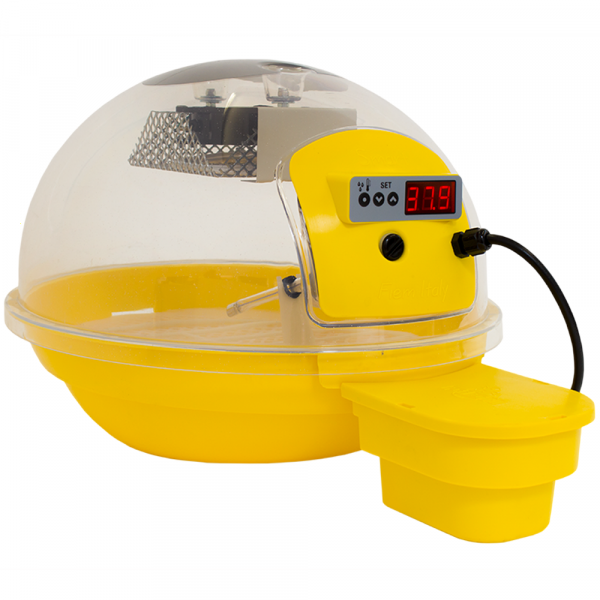 Incubatrice per uova automatica FIEM Smart digitale 24 gialla FIEM