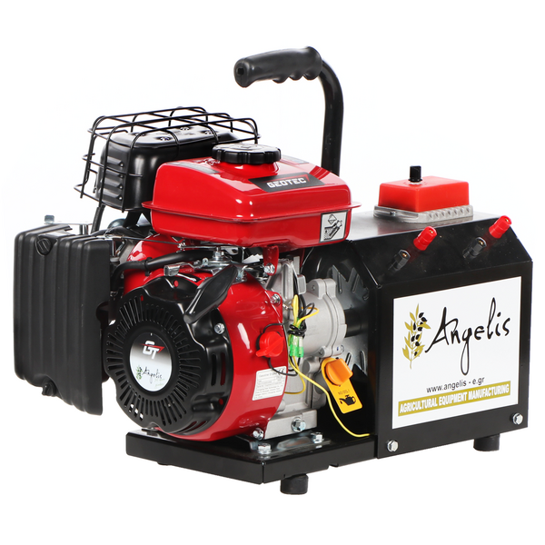 Agrieuro Premium Angelis - Generatore di corrente portatile 12/22V