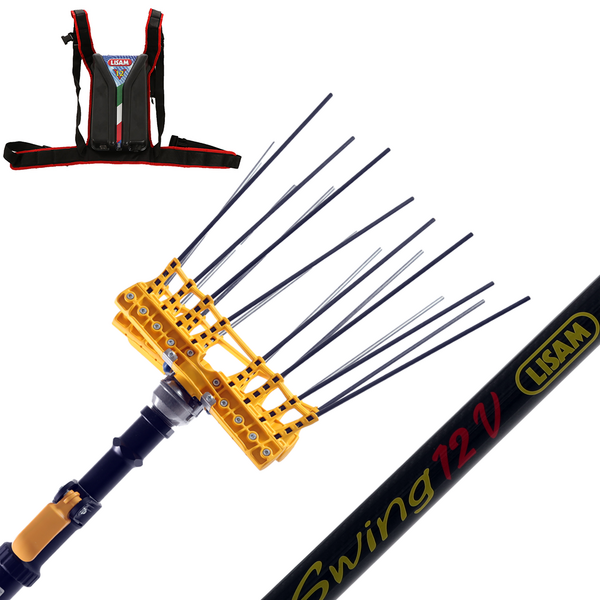 Lisam Swing - Abbacchiatore Elettrico a batteria - Asta Telescopica - 220-300 cm - Batteria 12V 56Ah Lisam