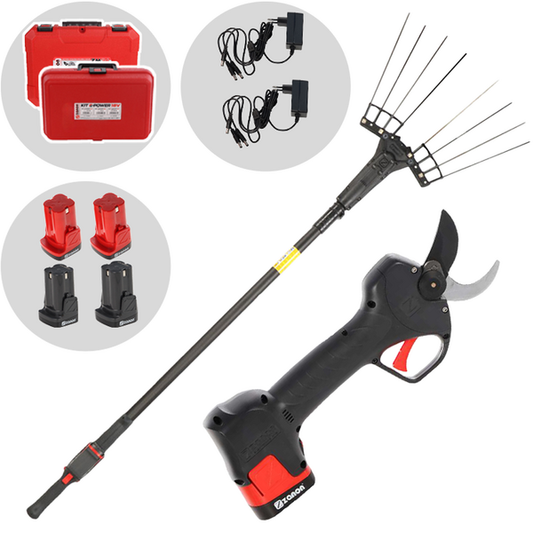 Zanon Kit Olive Light 1 - Abbacchiatore e forbice a batteria - Asta telescopica 170 - 250 cm - 4 x 14,4V 2,5Ah