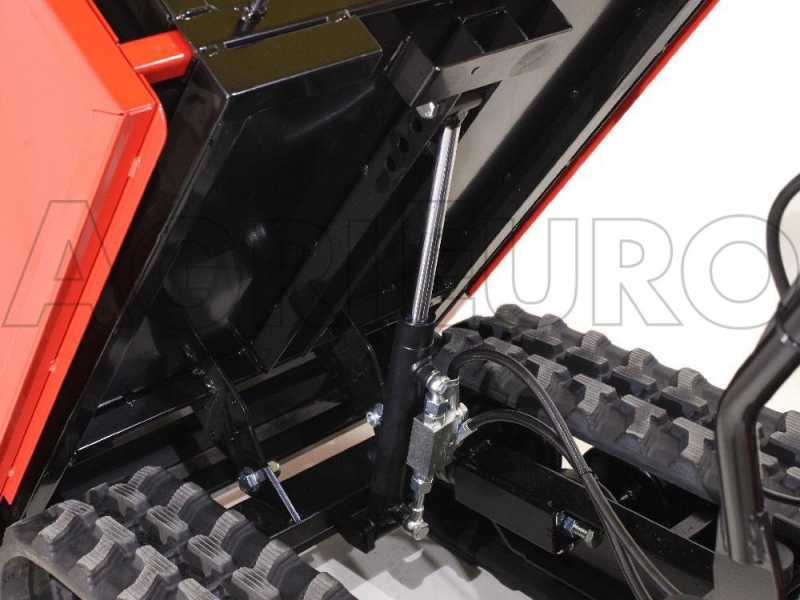 GINKO TR 660 - Motocarriola estensibile con ribaltamento idraulico 600Kg