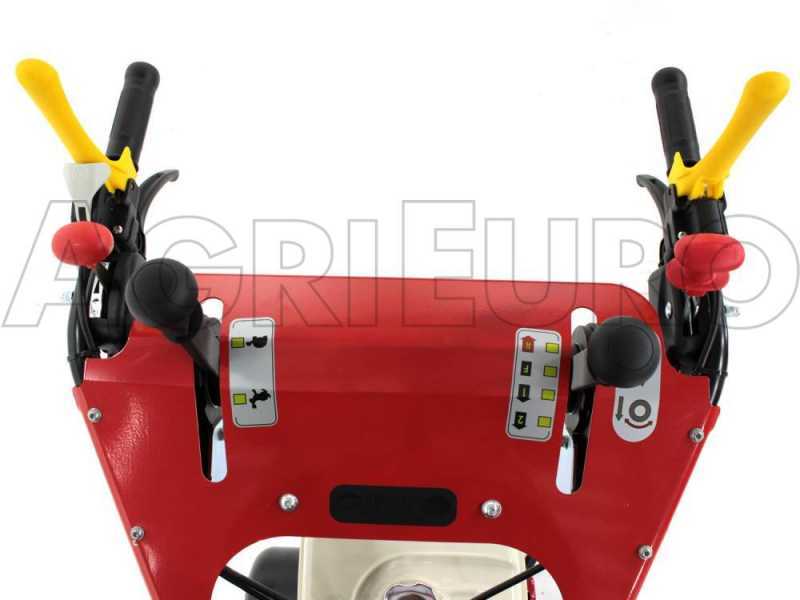 Ginko-MGM TT 786 - Trinciaerba professionale a martelli - Honda GX270