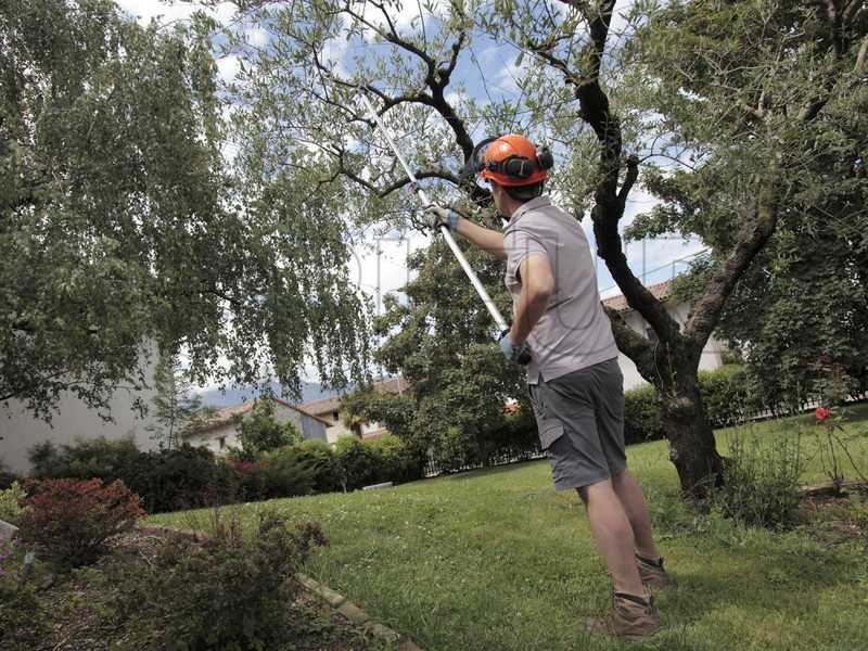 Archman Helium MT.4 - Forbicione da potatura telescopico professionale - asta 240/420cm - &Oslash; 35 mm