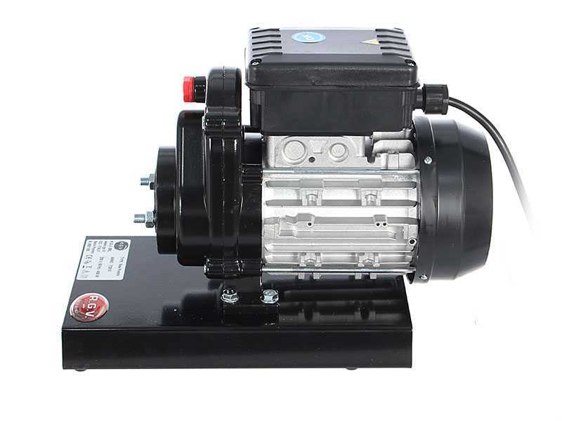 RGV Pommi - Passapomodoro con motore elettrico 450W - 220V