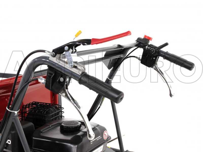 GeoTech Pro GeoPorter 330E BS - Motocarriola cingolata cassone estensibile con 4 rulli - 300Kg