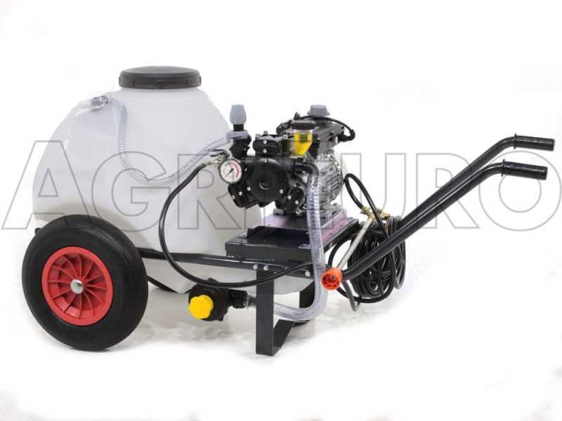 Kit motopompa irrorazione - Pompa Comet APS31 con motore elettrico con carrello e serbatoio 120L