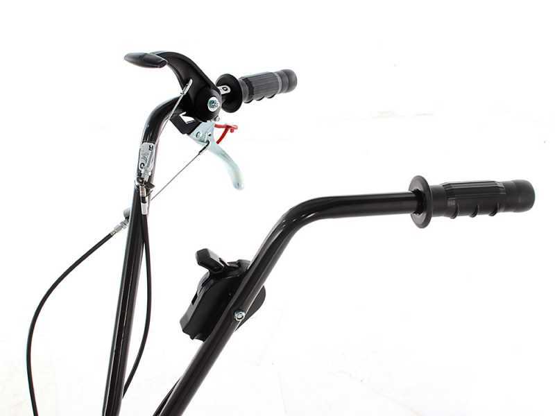 Eurosystems Z2 RM - Motozappa a benzina 4 HP - Motore Loncin 123 T