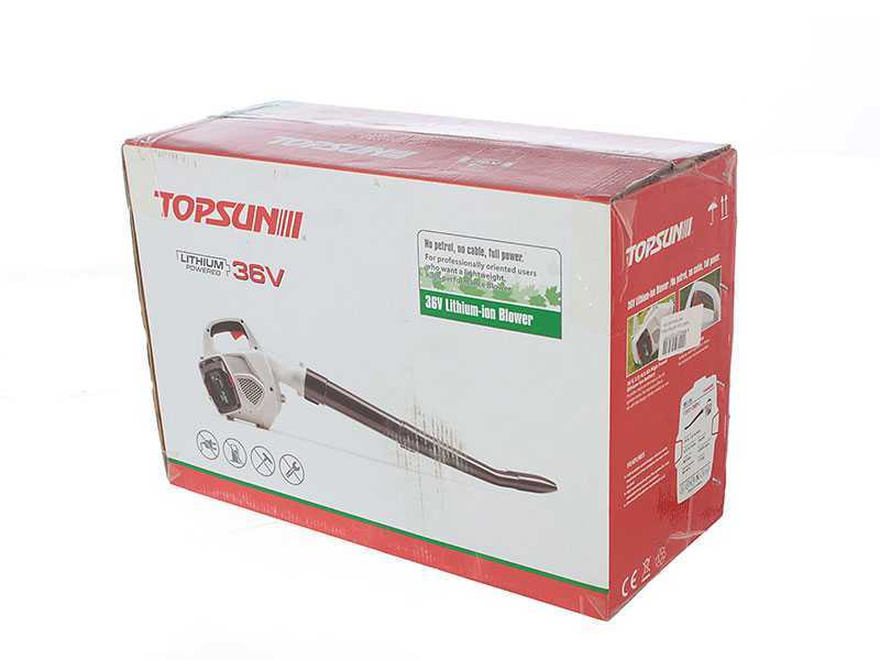 Topsun - Soffiatore per foglie a batteria 36V 2Ah