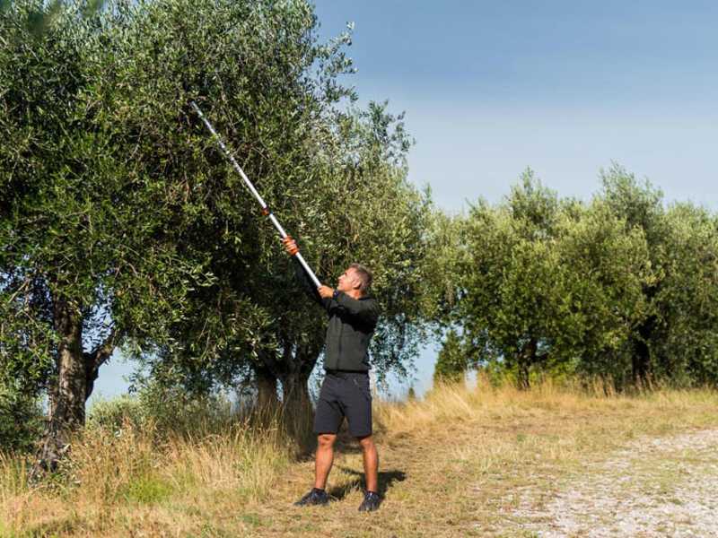 Stocker Art. 606 - Forbicione da potatura telescopico professionale - asta 170/280 cm - &Oslash; 35mm