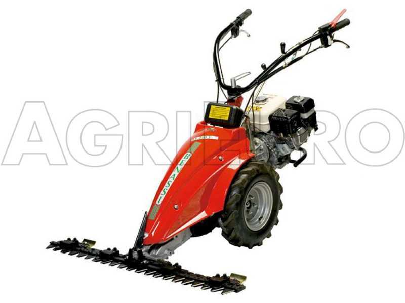 Benassi MC2300C - Motocoltivatore benzina - Hwasdan H170 - 5.5HP