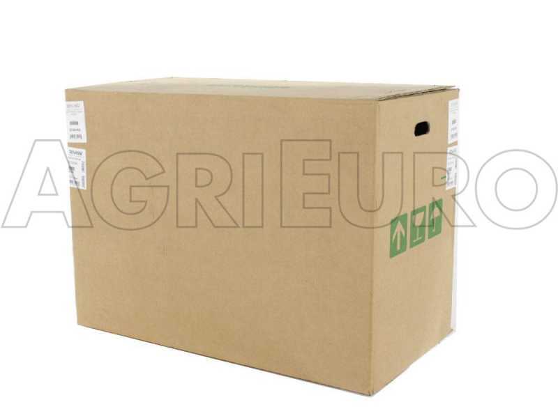 Benassi MC2300C - Motocoltivatore benzina - Hwasdan H170 - 5.5HP