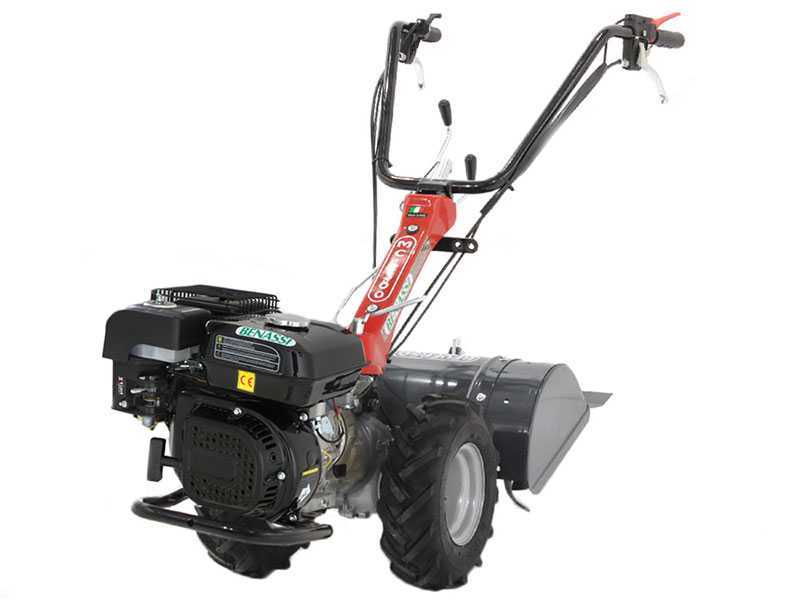 Benassi MC2300C - Motocoltivatore benzina - Hwasdan H170 - 5.5HP