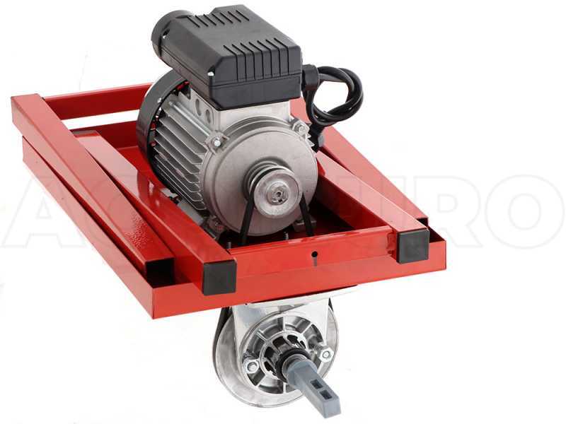 Palumbo Pavi LC PLAST - Passapomodoro con banco - Motore elettrico 600W