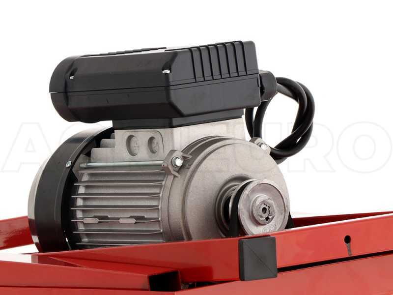 Palumbo Pavi LC PLAST - Passapomodoro con banco - Motore elettrico 600W