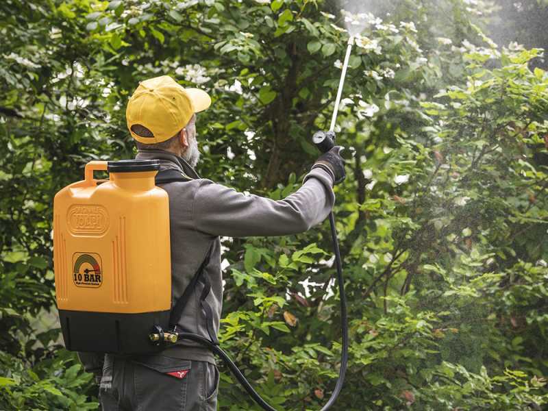 Nebulizzatore Giardino Pompa Irroratrice A Zaino A Batteria Ryobi