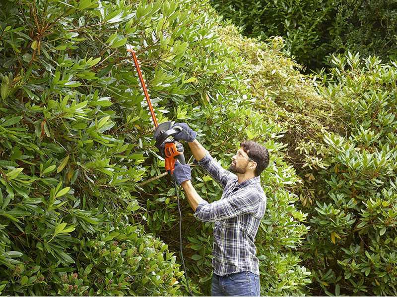 Black &amp; Decker BETHS301-QS - Tagliasiepi elettrico con lama da 50 cm - 500W
