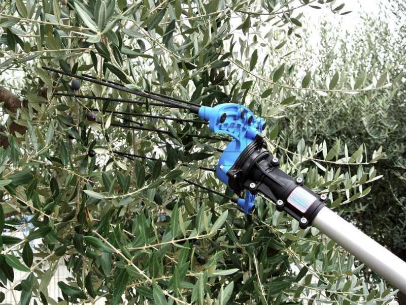 Campagnola HERCULES 58V - Asta in alluminio da 150-220 cm - Abbacchiatore elettrico a batteria