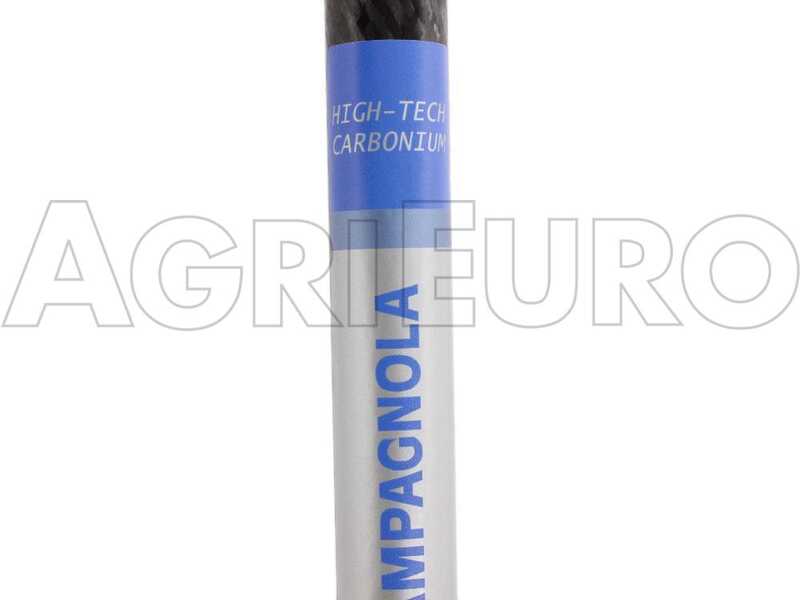 Campagnola HERCULES 58V - Abbacchiatore elettrico a batteria tipo auto con cavo in dotazione - Asta telescopica in carbonio 235/320 cm