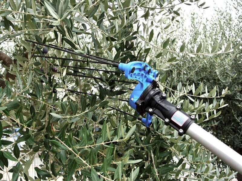 Campagnola HERCULES 58V - Abbacchiatore elettrico a batteria tipo auto con cavo in dotazione - Asta telescopica in carbonio 235/320 cm