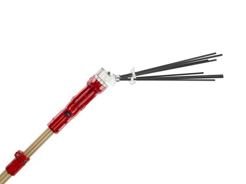 Sbaraglia Adrian - Abbacchiatore a batteria - Con 8 denti in carbonio e doppio moto oscillatorio - peso 1.5 kg
