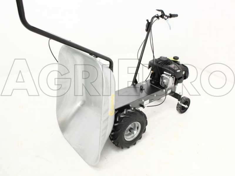 Eurosystems Carry - Motocarriola a ruote a semovenza trazionata 100Kg