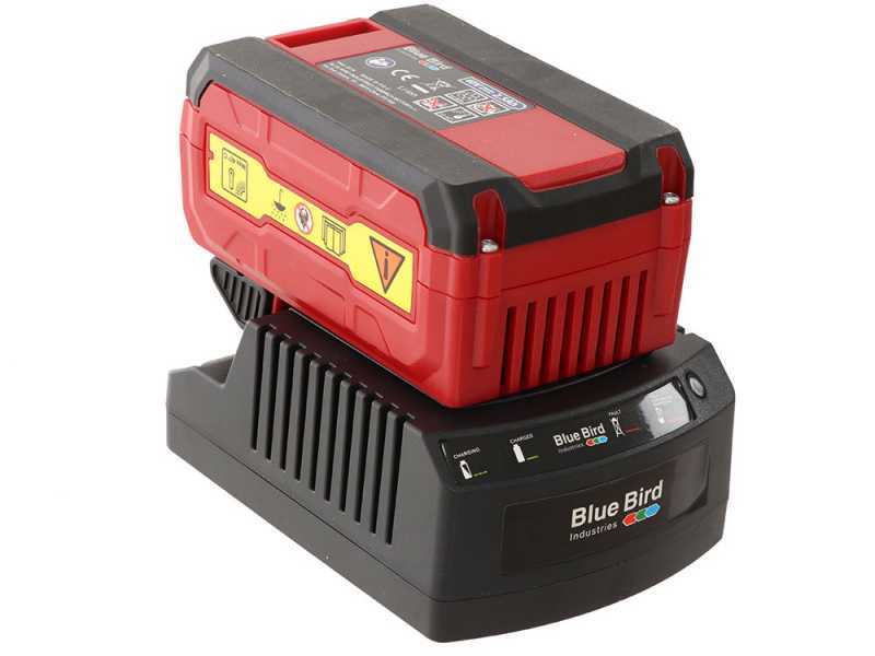 Blue Bird R3S 40V - Potatore a batteria su asta telescopica - fino a 4m con operatore