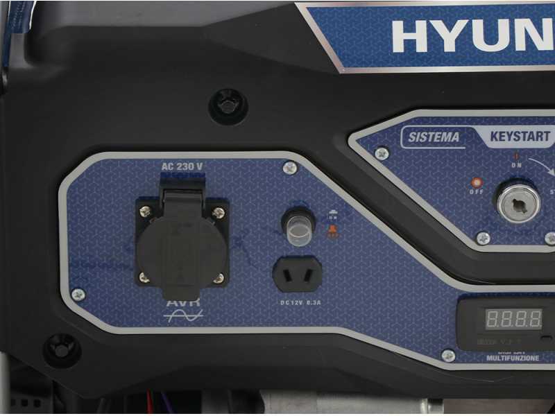 Hyundai LS4050EB - Generatore di corrente monofase 3 KW - Alimentato a benzina