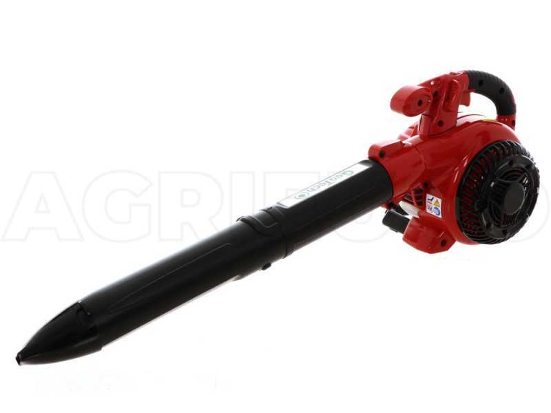 GeoTech BB250EVO - Soffiatore per foglie a scoppio motore 2 tempi