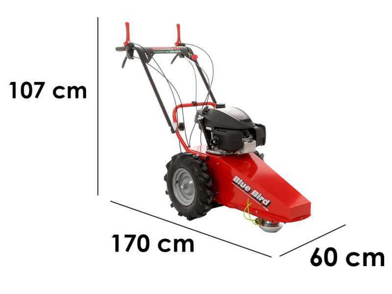 Blue Bird Domino - Trinciaerba a scoppio - Lama e filo - Honda GCV 200