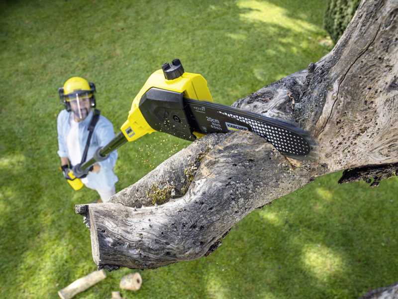 Karcher PSW 18-20 - Potatore a batteria con asta telescopica -18V